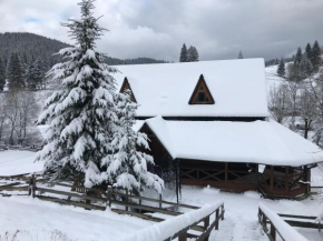 Trembita готель